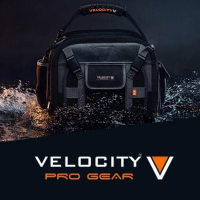 Velocity