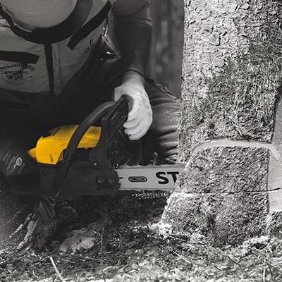 Stanley Saws
