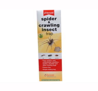 Rentokil Spider & Crawling insect Trap - Single Unit